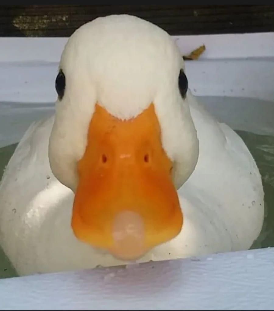 Profil de Ange-michel
